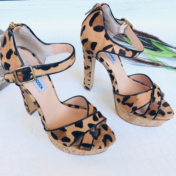 leopard print heels steve madden